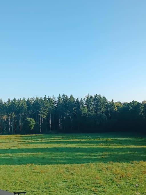 Gemuetliches Appartement Im Kottenforst Naehe Bonn Meckenheim  Esterno foto